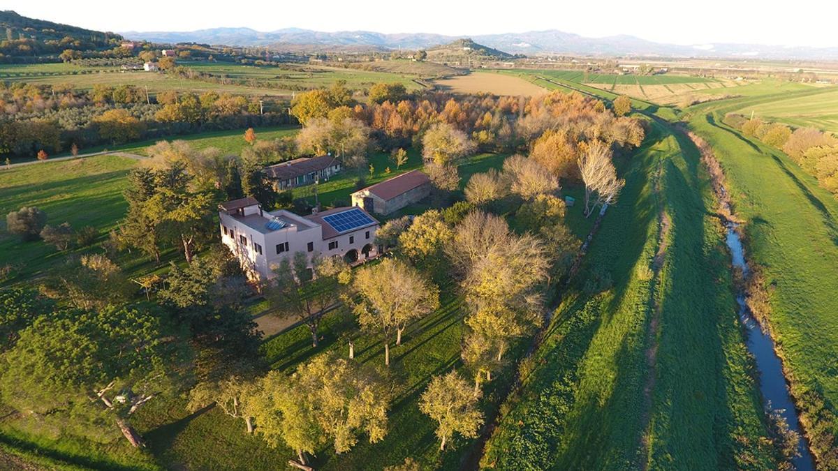 Agriturismo La Concia Джункарико Экстерьер фото