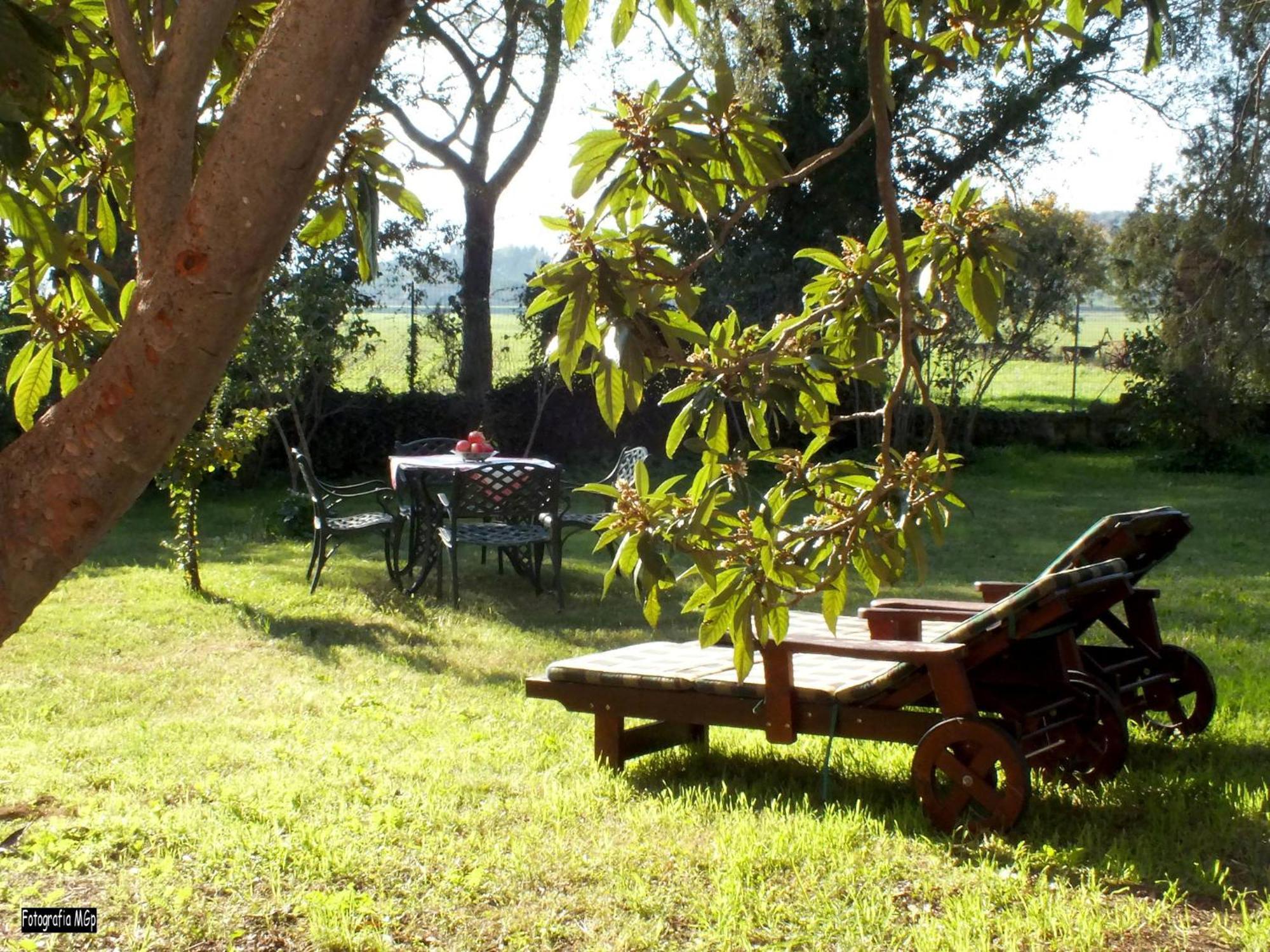 Agriturismo La Concia Джункарико Экстерьер фото